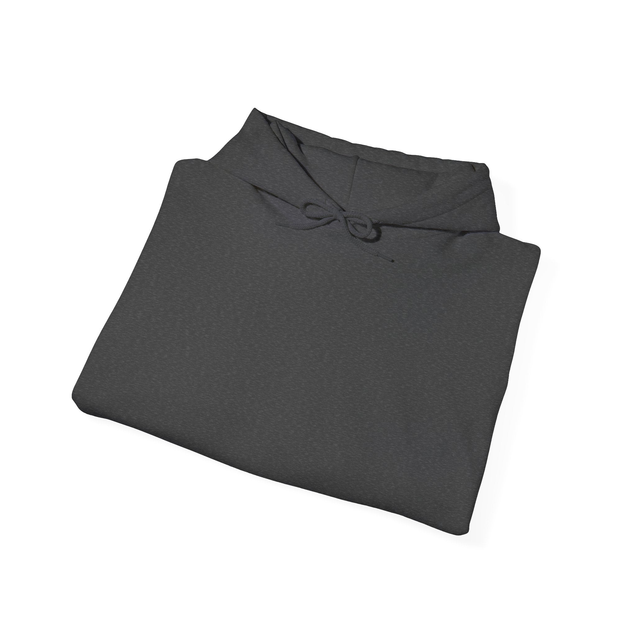 Unisex Heavy Blend™ Hooded Sweatshirt: Pilots