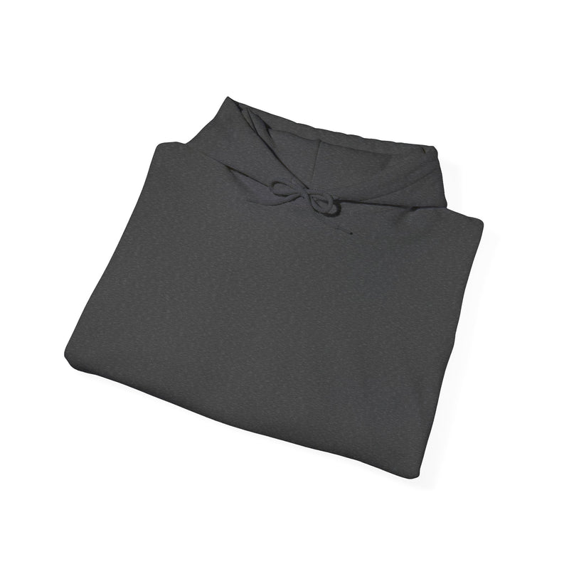 Unisex Heavy Blend™ Hooded Sweatshirt: Pilots