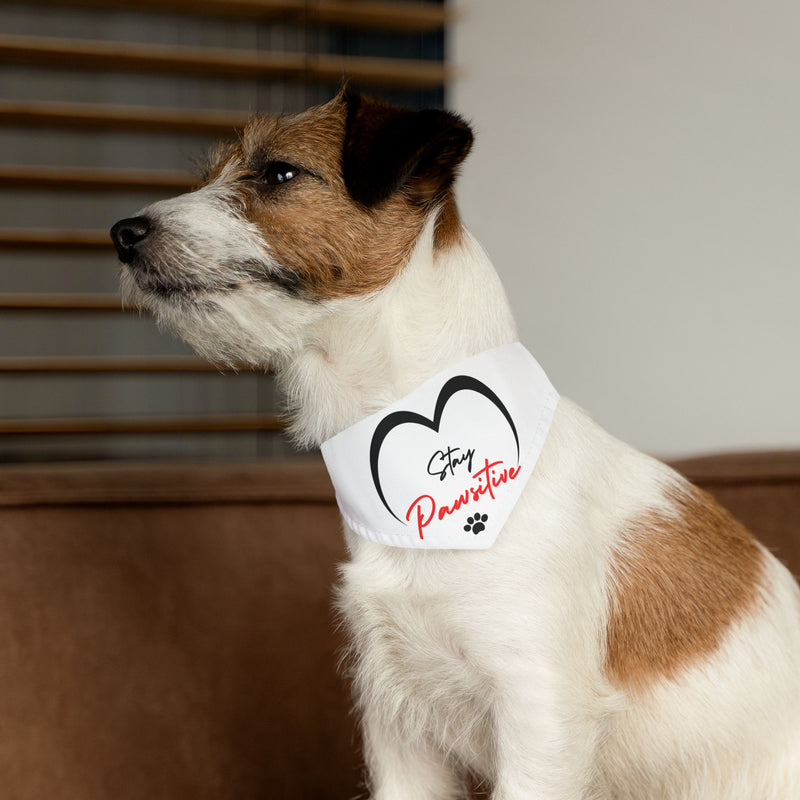 Stay Paw-sitive Pet Bandana Collar - Cute Dog Accessory for Positive Vibes