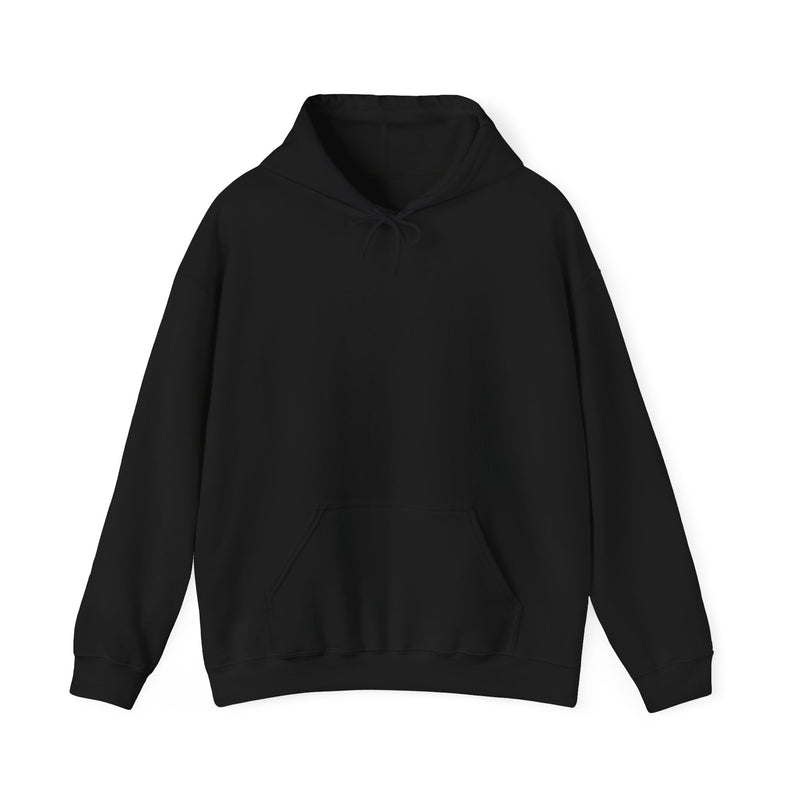 Unisex Heavy Blend™ Hooded Sweatshirt Sweat now shine later