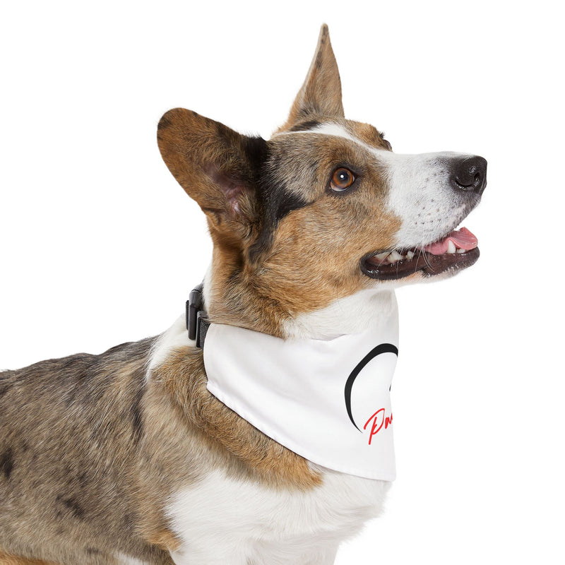 Stay Paw-sitive Pet Bandana Collar - Cute Dog Accessory for Positive Vibes