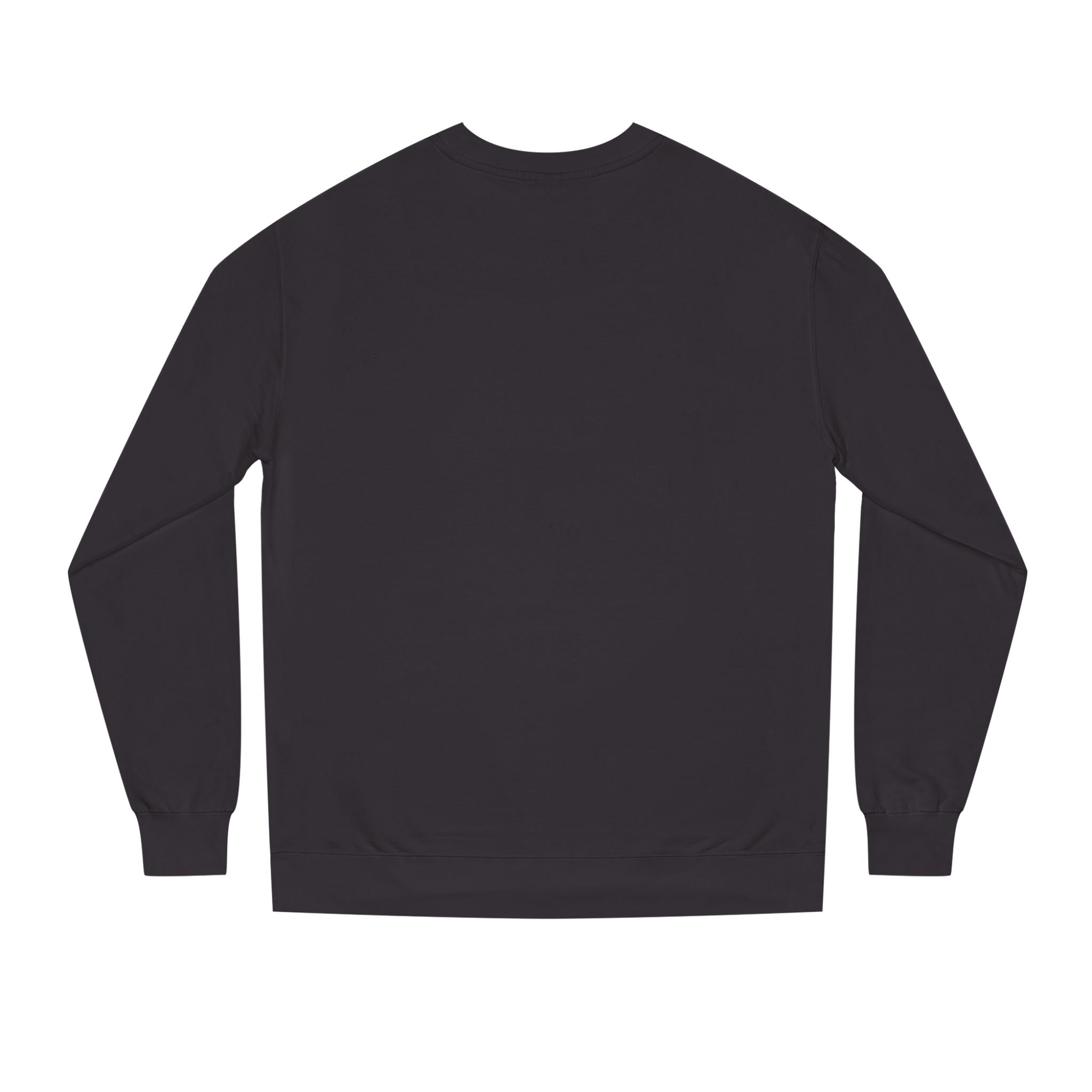 Funny Family Sweatshirt - "Family Requires Not DNA"