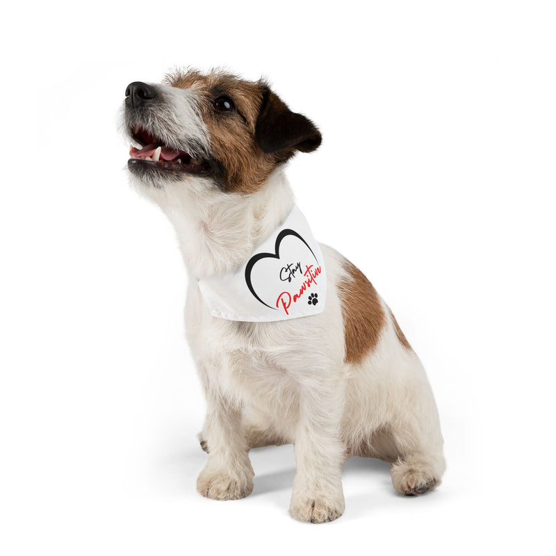 Stay Paw-sitive Pet Bandana Collar - Cute Dog Accessory for Positive Vibes