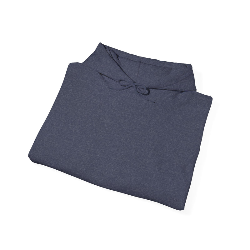 Unisex Heavy Blend™ Hooded Sweatshirt Sweat now shine later