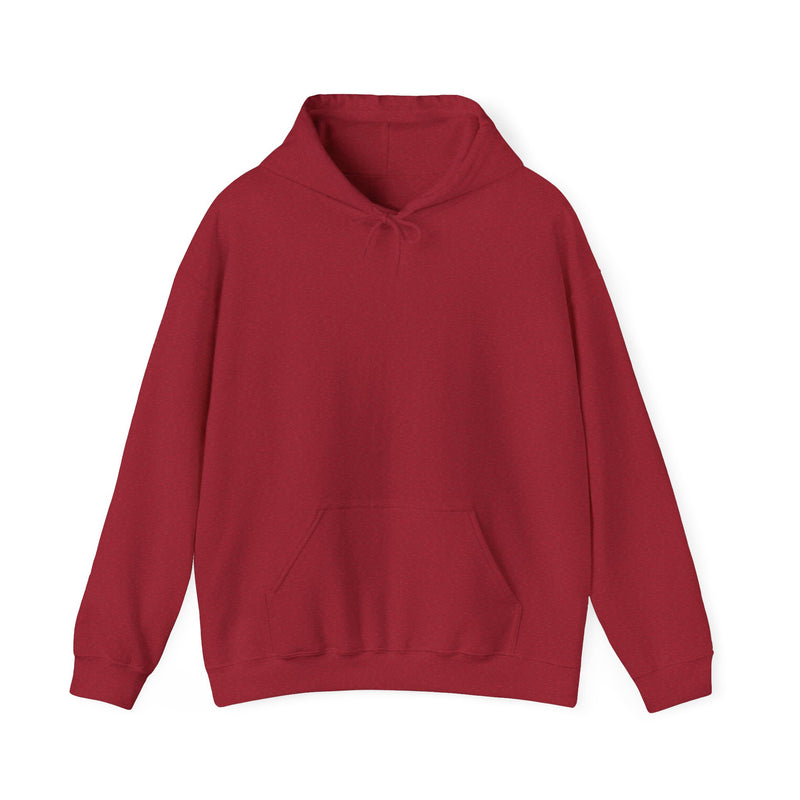 Unisex Heavy Blend™ Hooded Sweatshirt Sweat now shine later
