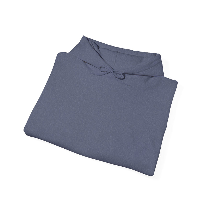 Unisex Heavy Blend™ Hooded Sweatshirt: Pilots