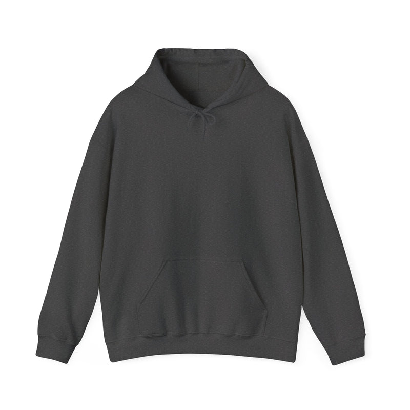Unisex Heavy Blend™ Hooded Sweatshirt Sweat now shine later