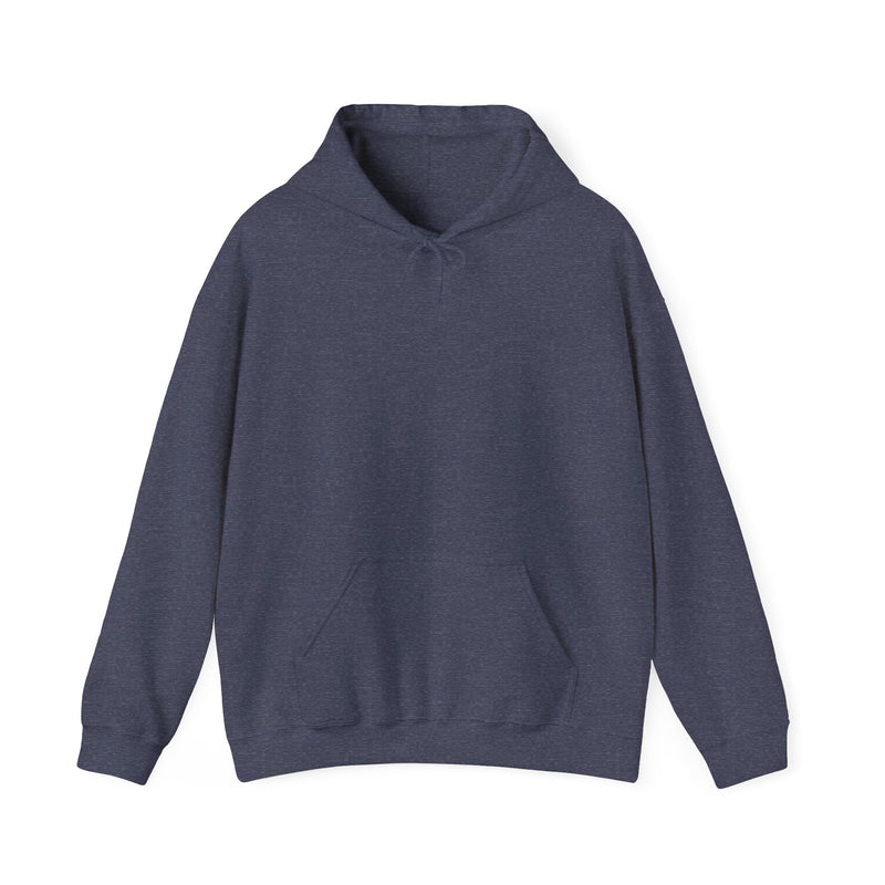 Unisex Heavy Blend™ Hooded Sweatshirt Sweat now shine later