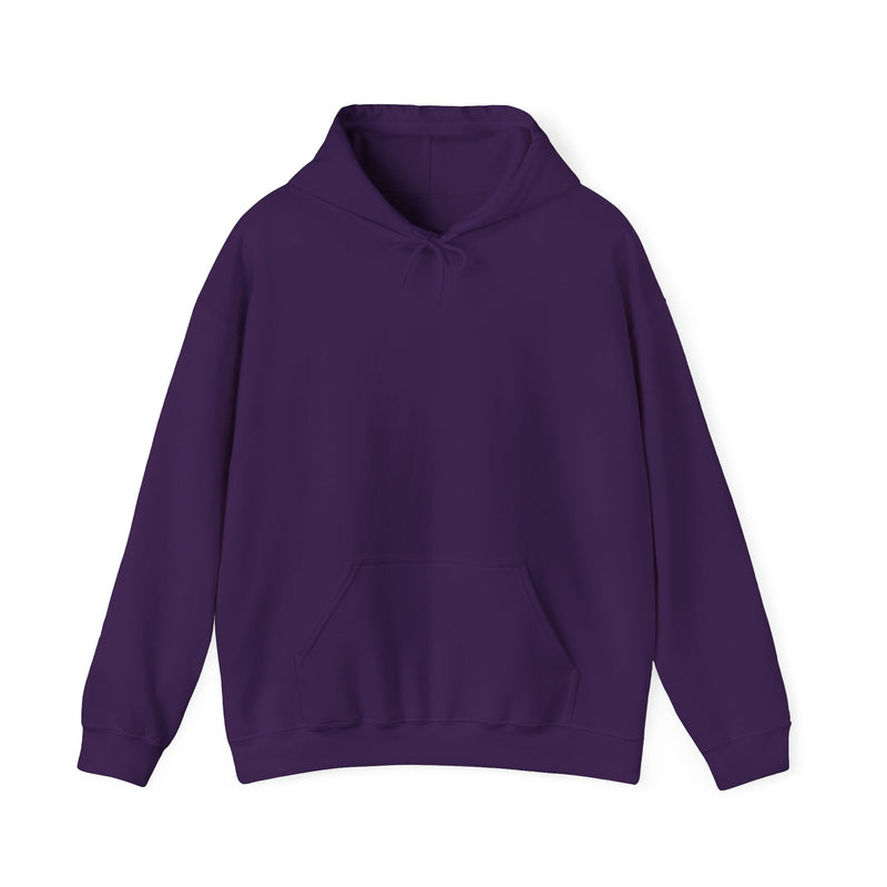 Unisex Heavy Blend™ Hooded Sweatshirt Sweat now shine later